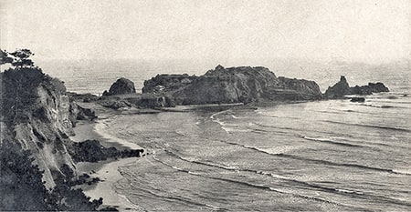 日本サーフィン歴史保存協会で保存した画像