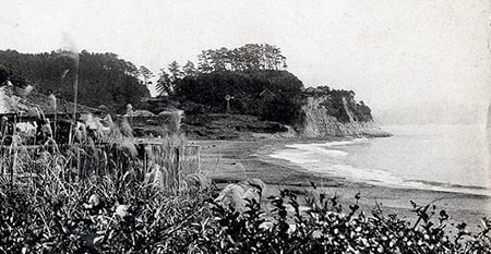 日本サーフィン歴史保存協会で保存した画像